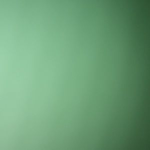 Meet your Posher, Isaisabelle